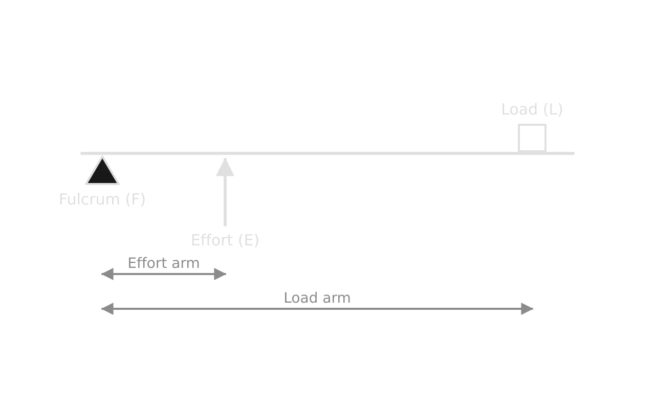 Lever diagram: a horizontal bar with the fulcrum (F) at the left end, the effort (E) acting upwards a short distance from the fulcrum and the load (L) at the far right end. The effort arm is short and the load arm is long.