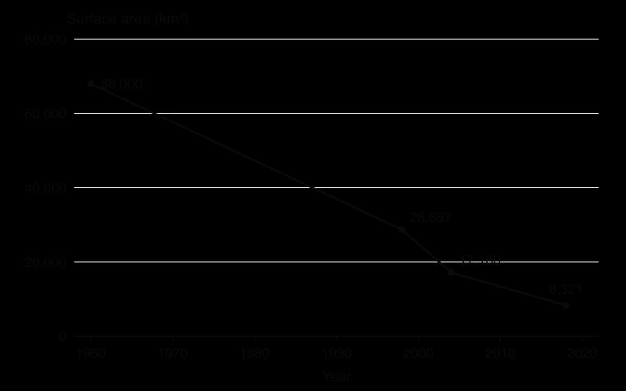 Line chart of Aral Sea surface area in square kilometres: 68,000 in 1960, 28,687 in 1998, 17,160 in 2004 and 8,321 in 2018.