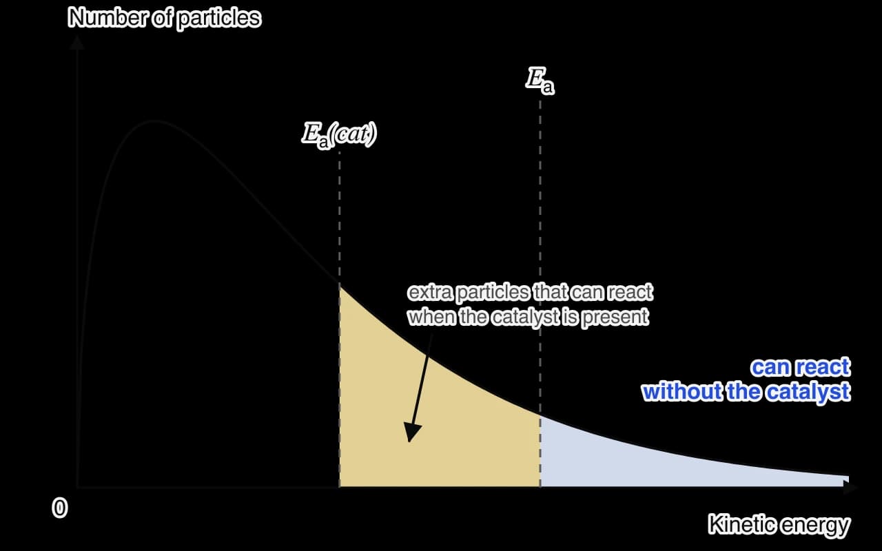 One Maxwell–Boltzmann curve with two activation energies marked: a lower Ea(cat) for the catalysed reaction and a higher Ea for the uncatalysed reaction. The area beyond Ea is shaded blue; the band between Ea(cat) and Ea is shaded yellow.