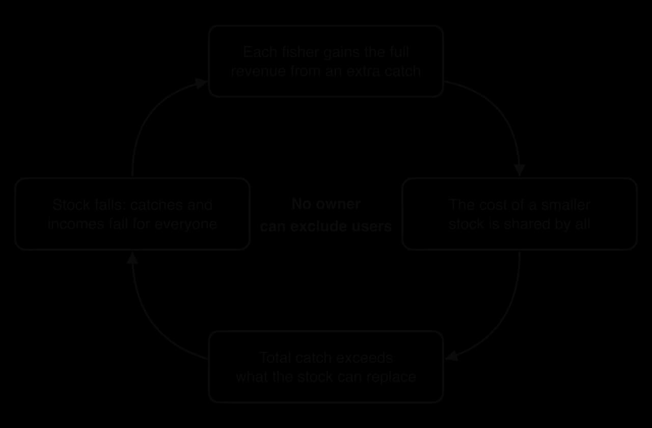 Flow diagram, a cycle of four boxes around the words 'No owner can exclude users': each fisher gains the full revenue from an extra catch; the cost of a smaller stock is shared by all; total catch exceeds what the stock can replace; stock falls, so catches and incomes fall for everyone.
