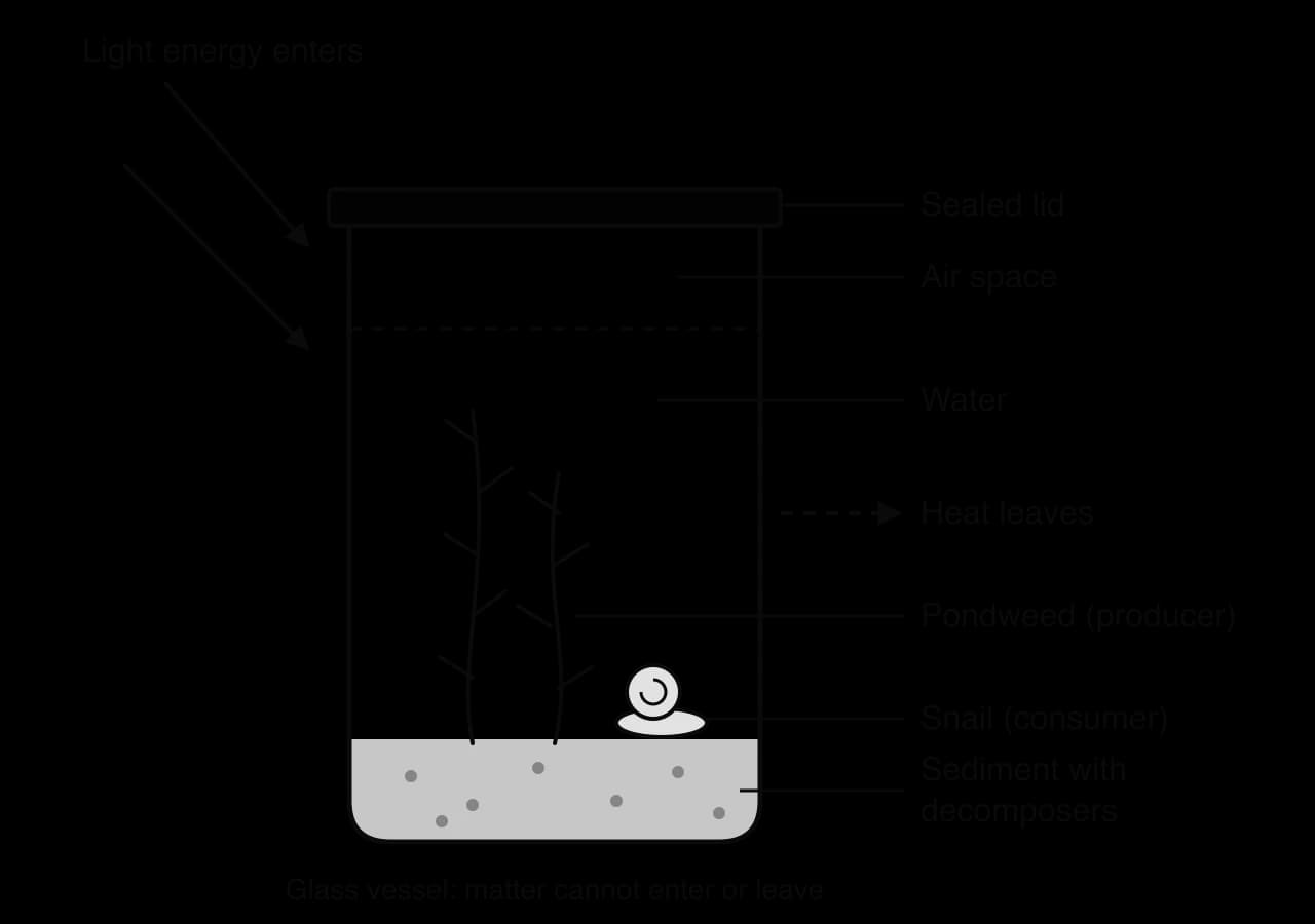 Sealed glass jar with a lid, air space, water, pondweed (producer), a snail (consumer) and sediment with decomposers. Arrows show light energy entering and heat leaving. Text under the jar: matter cannot enter or leave.