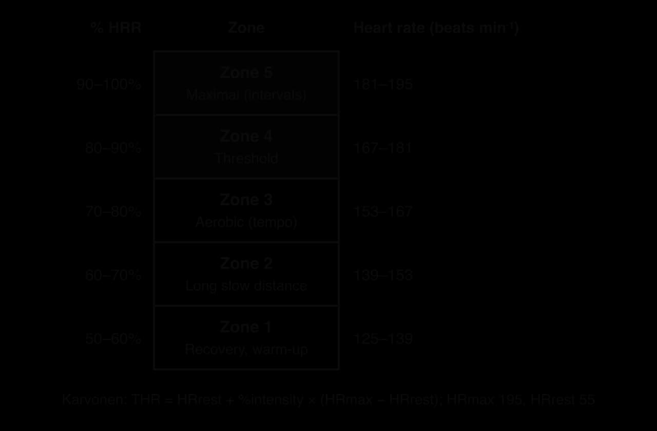 Five heart rate zones as % of heart rate reserve for an athlete with HRmax 195 and resting HR 55 beats per minute: zone 1 50–60% (125–139), zone 2 60–70% (139–153), zone 3 70–80% (153–167), zone 4 80–90% (167–181), zone 5 90–100% (181–195).