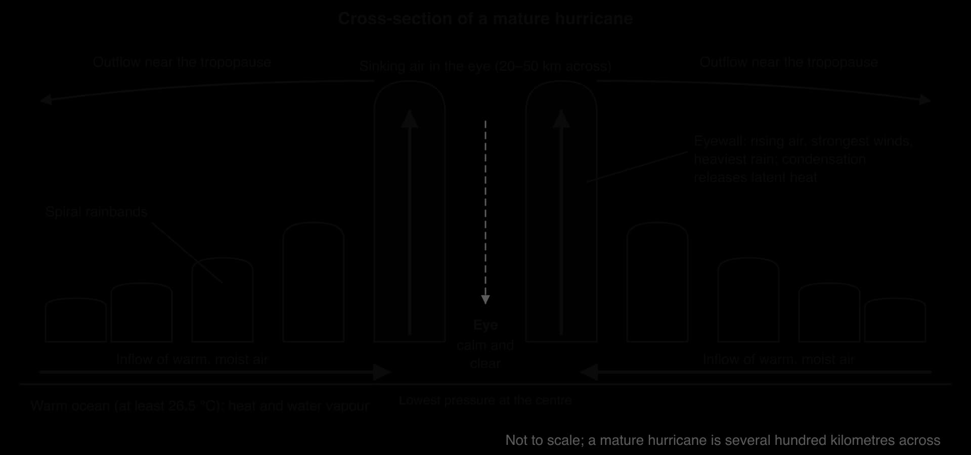 Cross-section of a hurricane over warm ocean: warm moist air flows in at the surface, rises in the tall eyewall clouds either side of a calm, clear eye with sinking air, and flows out near the tropopause; spiral rainbands outside; latent heat released in the eyewall; lowest pressure at centre.