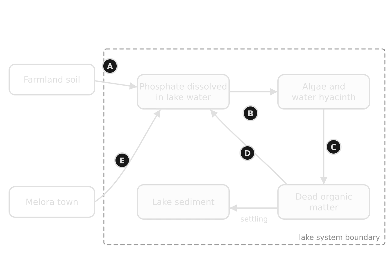 Incomplete systems diagram of phosphorus in Lake Melora. Farmland soil and Melora town outside the lake boundary; inside, dissolved phosphate, algae and water hyacinth, dead organic matter and lake sediment, linked by flows labelled A to E without names.