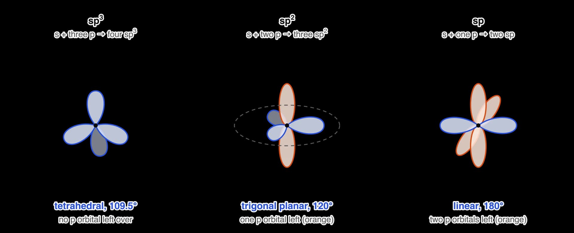 Three sets of hybrid orbitals around a nucleus. sp3: four blue lobes pointing to the corners of a tetrahedron, 109.5°. sp2: three blue lobes at 120° in a horizontal plane drawn in perspective (dashed outline), with one orange p orbital standing perpendicular to that plane.