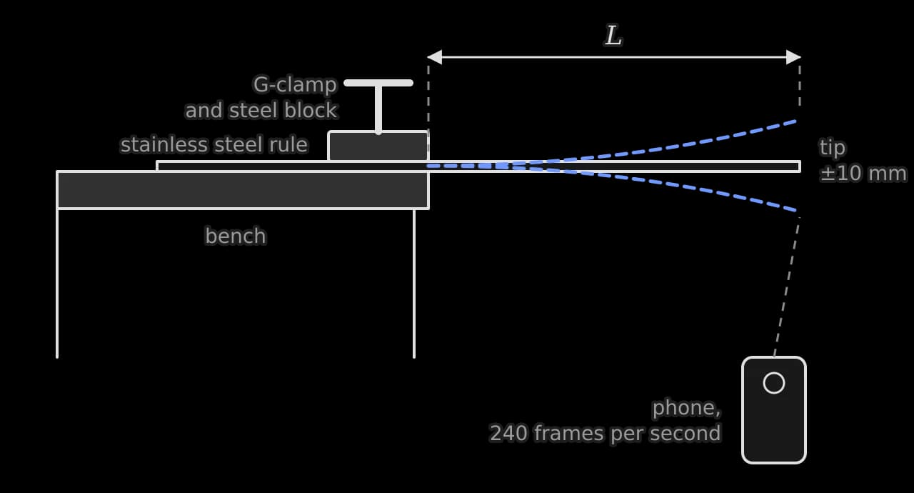 Side view: a stainless steel rule lies on a bench, held at the bench edge by a steel block pressed down by a G-clamp, with length L overhanging. Blue dashed curves show the rule bent up and down as it vibrates. A phone in front of the tip, below the bench top, films it at 240 frames per second.