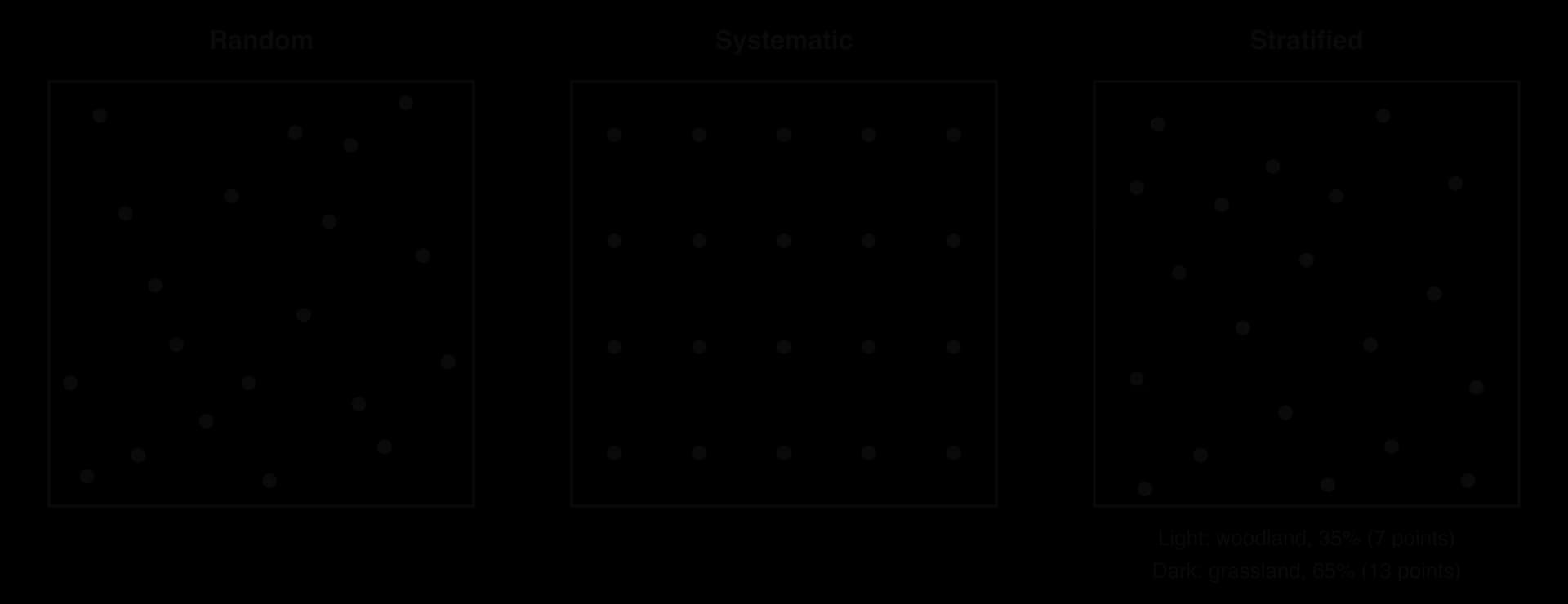 Three square study areas with 20 sample points each: random (scattered unevenly), systematic (a regular 5 by 4 grid) and stratified (7 points in a woodland zone covering 35% of the area and 13 in a grassland zone covering 65%).