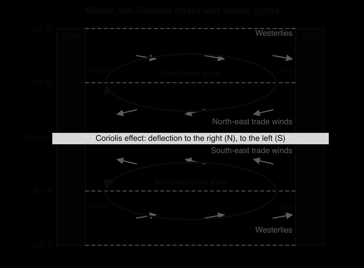 Idealised ocean basin between two land masses from 60° N to 60° S. Westerlies and trade winds drive a clockwise gyre in the north and an anticlockwise gyre in the south, warm on the western side and cold on the eastern side; Coriolis deflection noted.