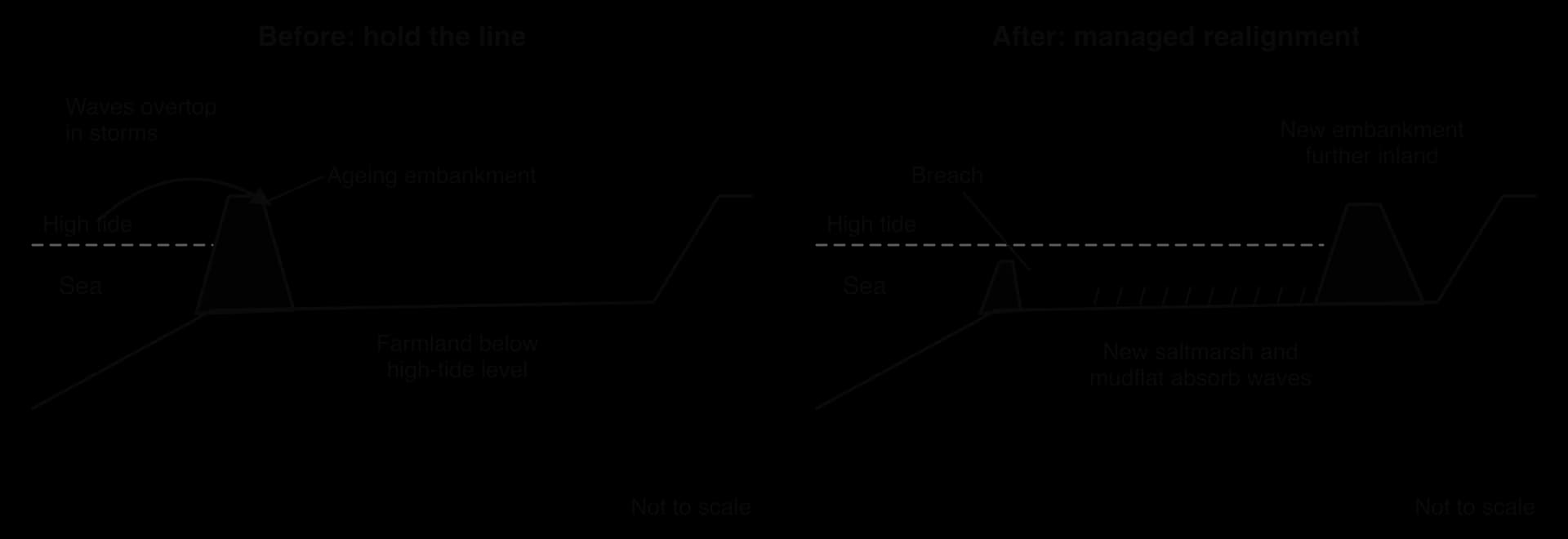 Two cross-sections. Before: an ageing embankment holds the line and protects farmland below high-tide level, with waves overtopping in storms. After: the embankment is breached, new saltmarsh and mudflat form, and a new embankment stands further inland.