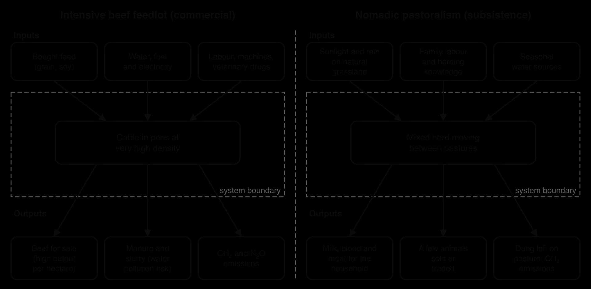 Two systems diagrams. Feedlot: bought feed, water and energy, labour and drugs enter cattle pens; outputs are beef, manure and slurry, and methane and nitrous oxide. Nomadic pastoralism: grassland, family labour and water feed a moving herd; outputs are milk and meat, some sales, dung and methane.