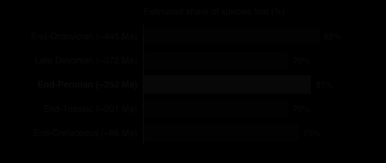 Bar chart of estimated share of species lost in the five mass extinctions: end-Ordovician (~445 Ma) 85%, Late Devonian (~372 Ma) 70%, end-Permian (~252 Ma) 81% of marine species, end-Triassic (~201 Ma) 70%, end-Cretaceous (~66 Ma) 75%.