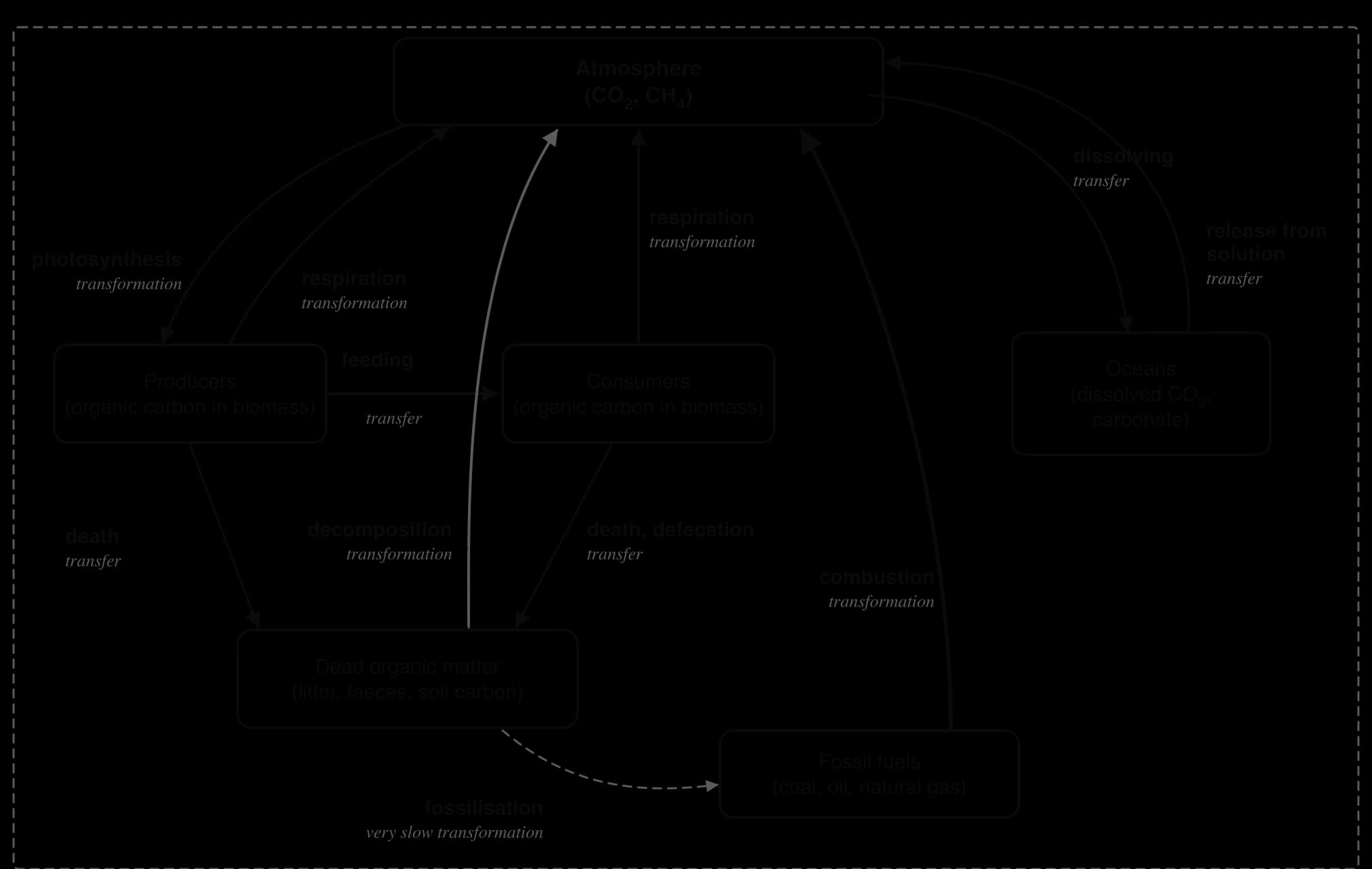 Carbon cycle systems diagram. Stores: atmosphere, producers, consumers, dead organic matter, fossil fuels, oceans. Flows: photosynthesis, respiration, decomposition, combustion, fossilisation (transformations); feeding, death, defecation, dissolving, release (transfers).