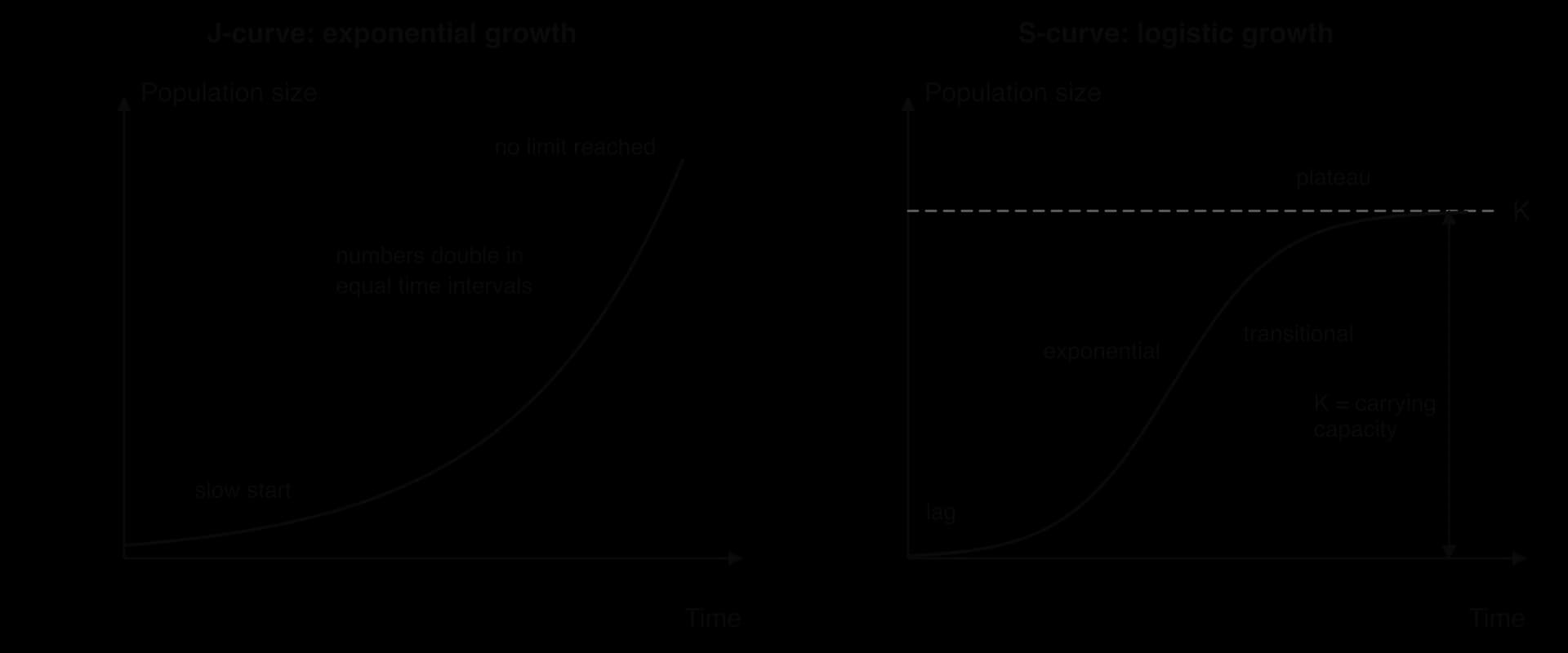 Two graphs of population size against time. Left: a J-curve rising ever more steeply with no limit. Right: an S-curve with lag, exponential, transitional and plateau phases, levelling off at a dashed line labelled K, the carrying capacity.