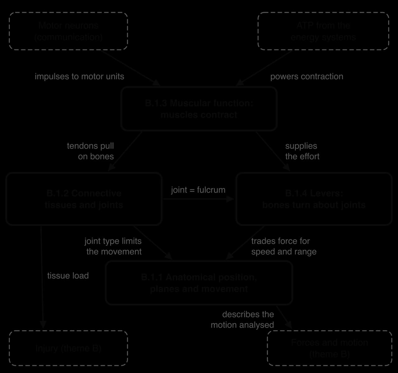 Concept map: motor neurons and ATP drive muscle contraction (B.1.3); tendons pull on bones at joints (B.1.2), which act as fulcrums of levers (B.1.4); the resulting movement is described in planes and axes (B.1.1). Links to injury and to forces and motion.