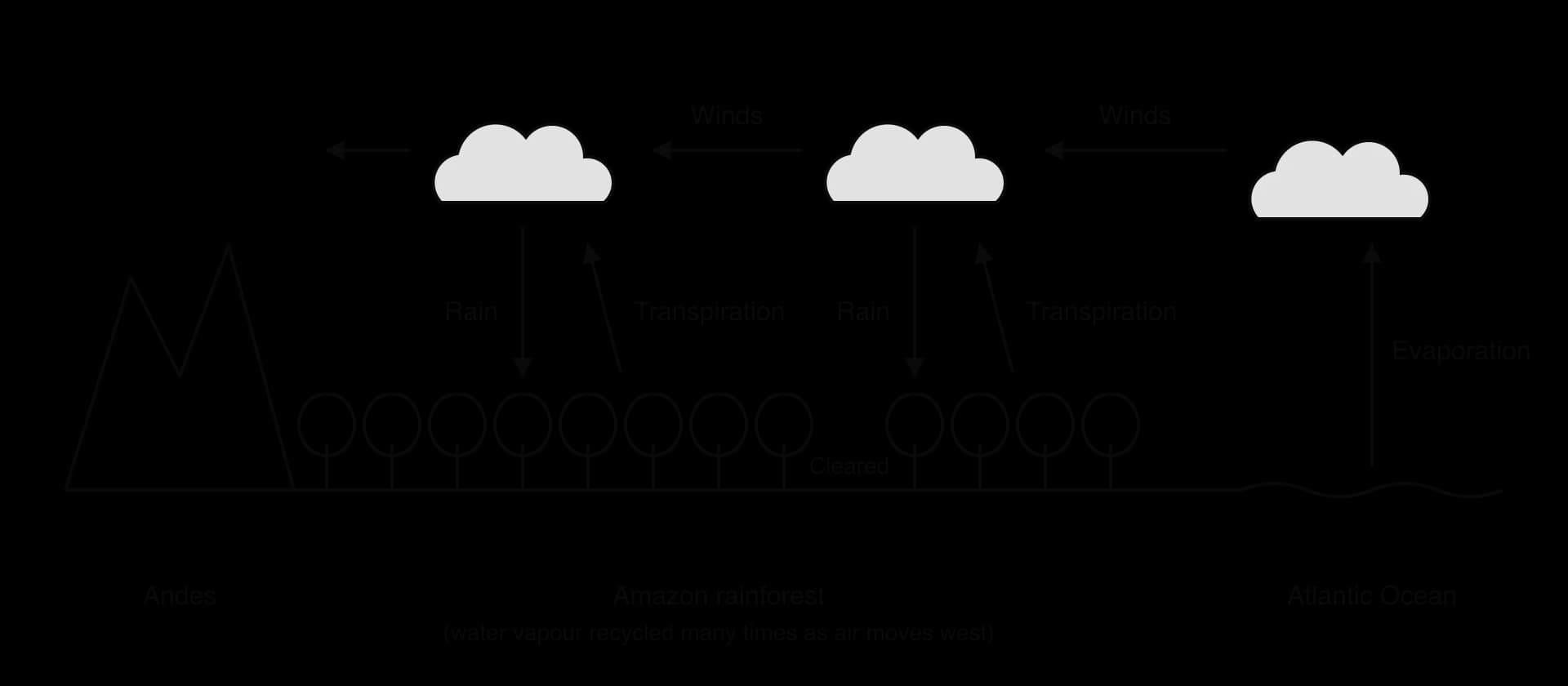 Cross-section from the Atlantic Ocean (right) to the Andes (left). Evaporation forms clouds that winds carry west; over the Amazon rainforest, rain falls and transpiration returns water vapour to new clouds further west. A gap in the trees is labelled cleared.