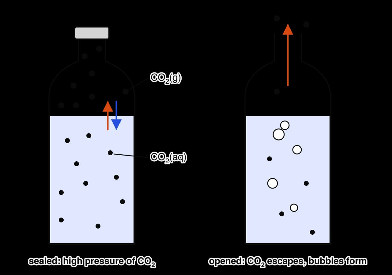 Left: a sealed bottle with CO2 molecules in the gas space and dissolved in the drink, with arrows showing CO2(g) dissolving and CO2(aq) leaving at equal rates. Right: an opened bottle with CO2 escaping from the neck and bubbles of gas forming in the drink.