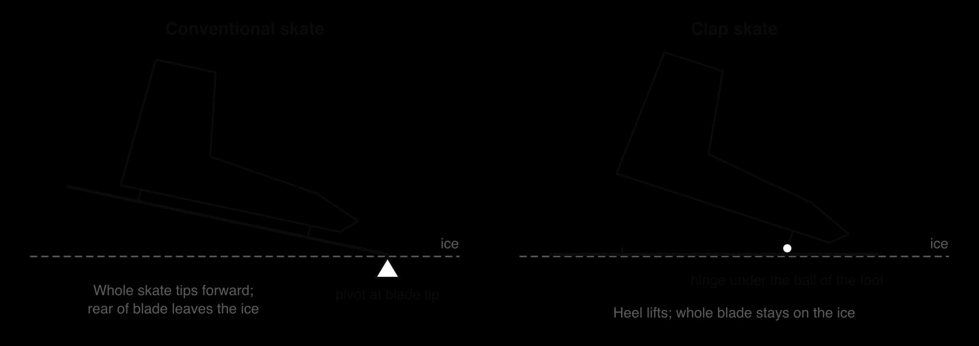 Two skates at the end of a push. Conventional skate: boot fixed to the blade, the whole skate pivots about the blade tip and the rear of the blade leaves the ice. Clap skate: the boot pivots about a hinge under the ball of the foot, the heel lifts and the blade stays flat.