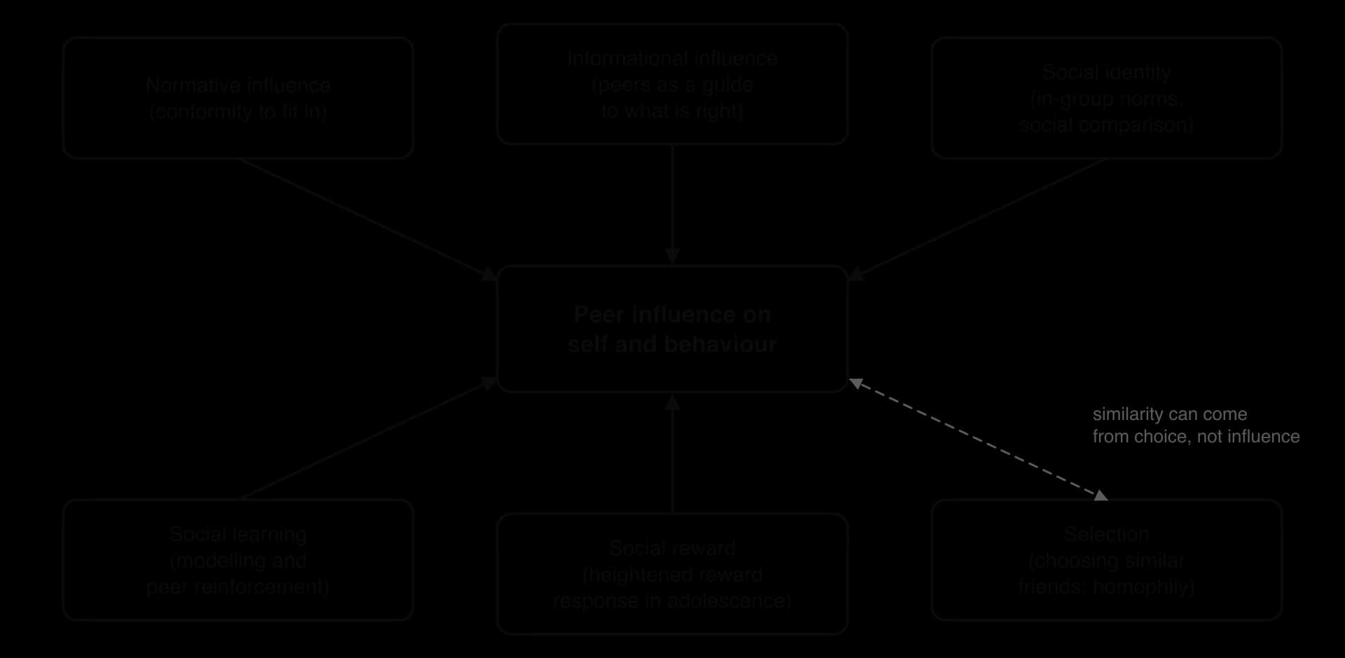 Concept map: peer influence on self and behaviour fed by normative influence, informational influence, social identity, social learning and social reward; selection of similar friends (homophily) shown with a two-way dashed arrow.