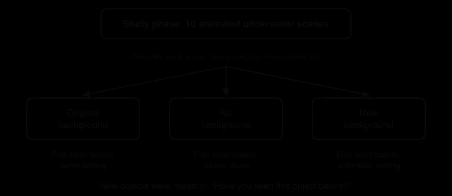 Design of Masuda and Nisbett's recognition test: after 10 animated underwater scenes, previously seen fish were shown with their original background, no background or a new background, mixed with new objects.