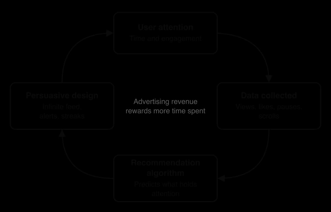 A loop: user attention produces data (views, likes, pauses, scrolls), a recommendation algorithm predicts what holds attention, persuasive design (infinite feed, alerts, streaks) captures more attention. Centre: advertising revenue rewards time spent.