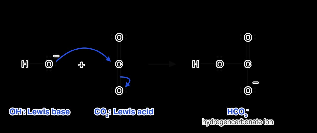 Lewis formulas: a hydroxide ion (O with three lone pairs and a negative charge) attacks the carbon of CO2. One blue curly arrow goes from an O lone pair to C; a second goes from one of the C=O bonds to the lower O. Product: the hydrogencarbonate ion with the negative charge on the lower O.