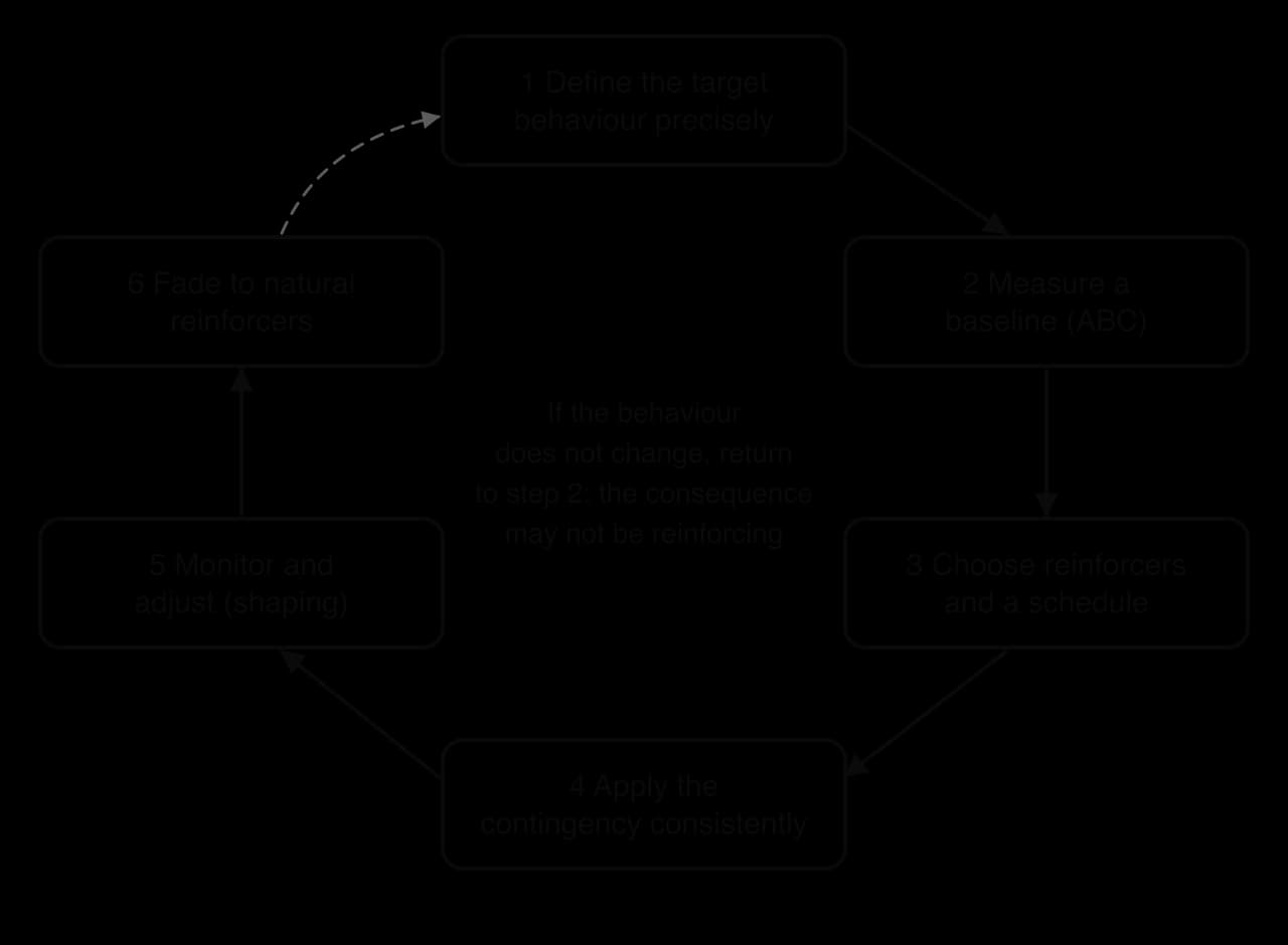 Cycle of six steps: define the target behaviour; measure a baseline using antecedents, behaviour and consequences; choose reinforcers and a schedule; apply the contingency consistently; monitor and adjust; fade to natural reinforcers.