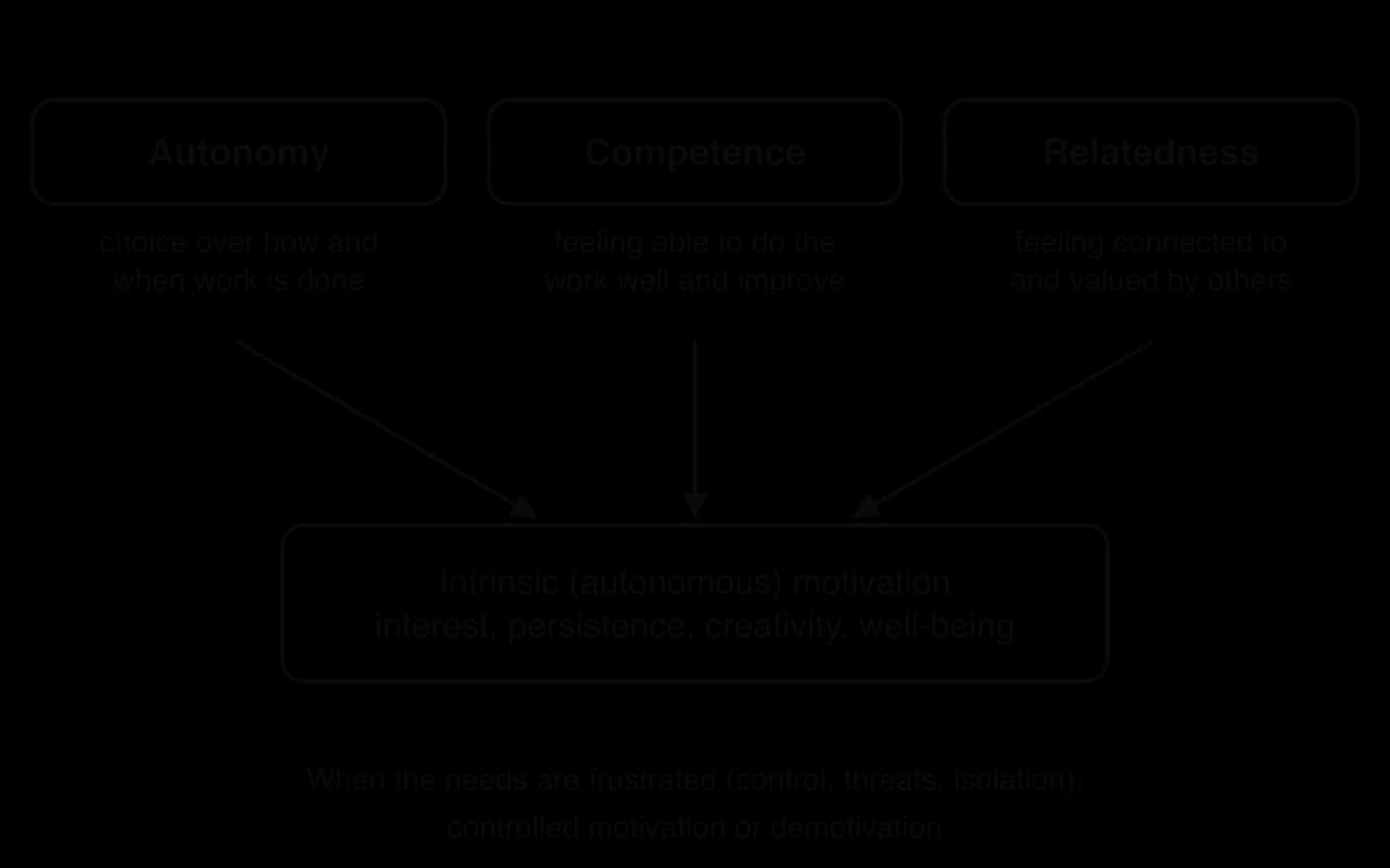 Self-determination theory: three boxes, autonomy (choice over how and when work is done), competence (feeling able to do the work well) and relatedness (feeling connected to others), point to intrinsic motivation; frustrated needs lead to controlled motivation or demotivation.