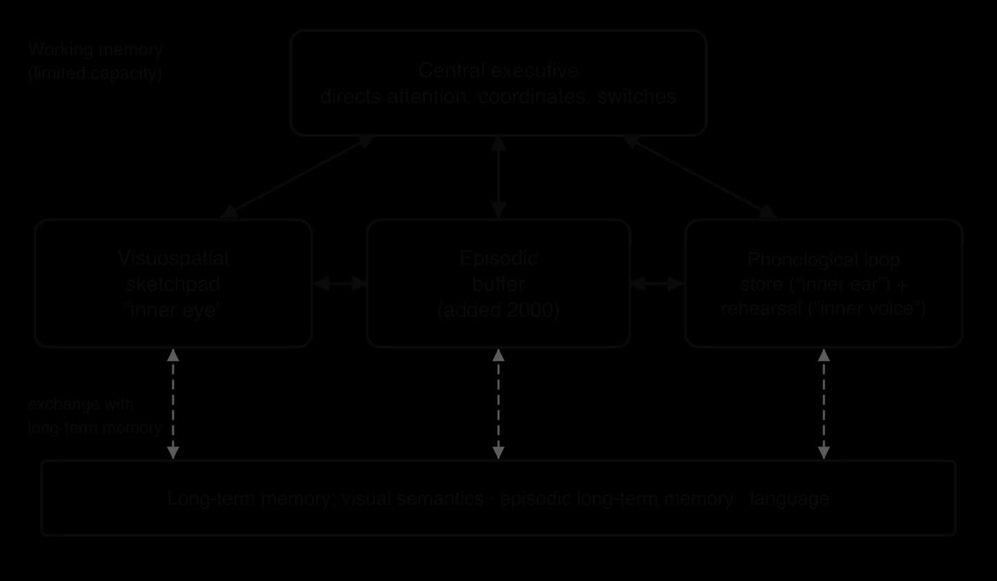 Working memory model: a central executive at the top linked two-way to the visuospatial sketchpad, the episodic buffer (added 2000) and the phonological loop; the buffer links to both; all three exchange information with long-term memory below.