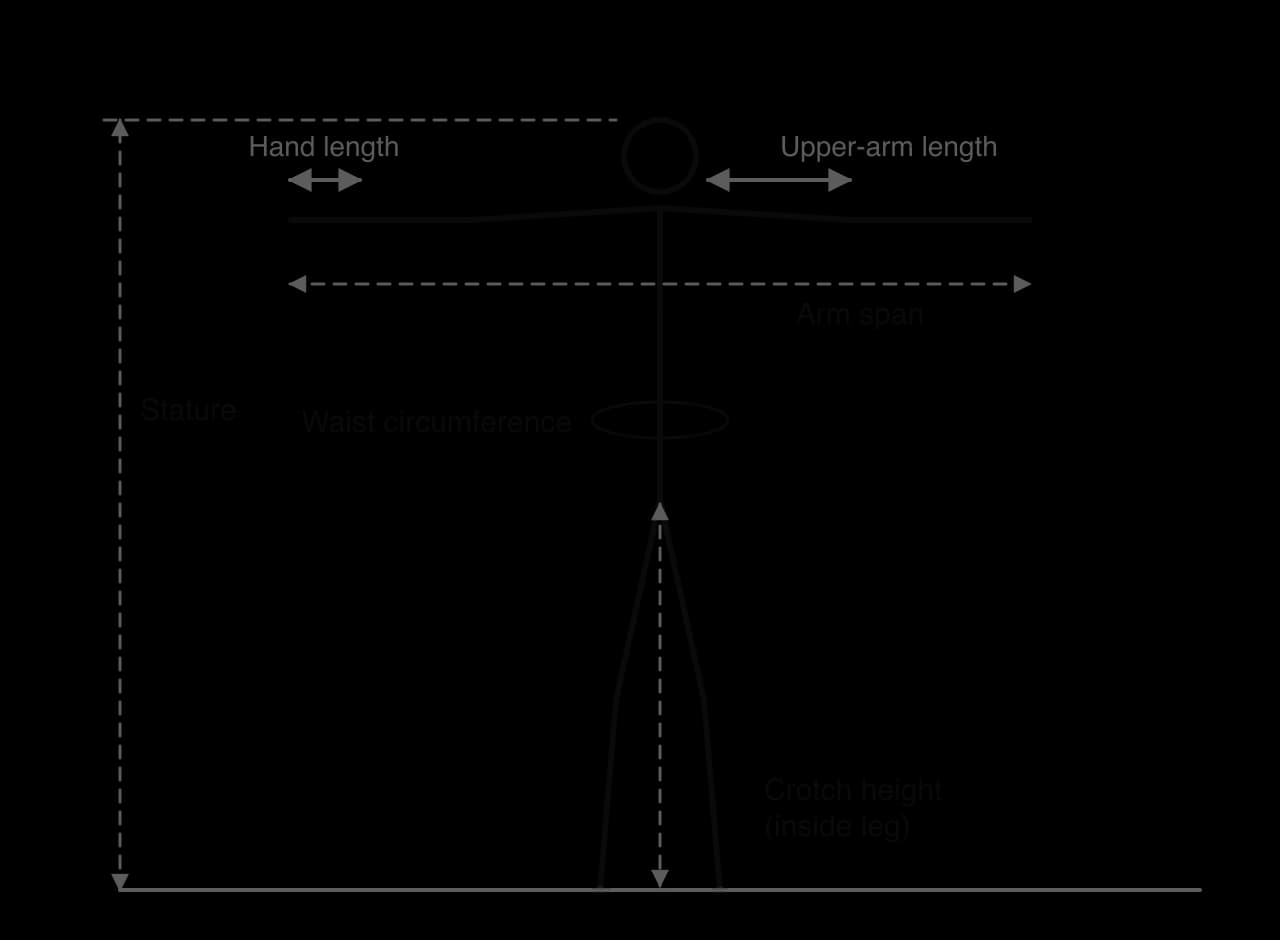 Stick figure with arms out to the sides showing anthropometric measurements: stature (floor to top of head), arm span (fingertip to fingertip), crotch height (inside leg), waist circumference, upper-arm length and hand length.