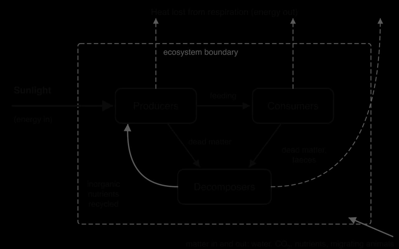 Systems diagram of an ecosystem inside a dashed boundary: sunlight enters producers; feeding links producers to consumers; dead matter and faeces flow to decomposers; inorganic nutrients recycle to producers; heat from respiration leaves; water, CO₂ and nutrients cross the boundary.