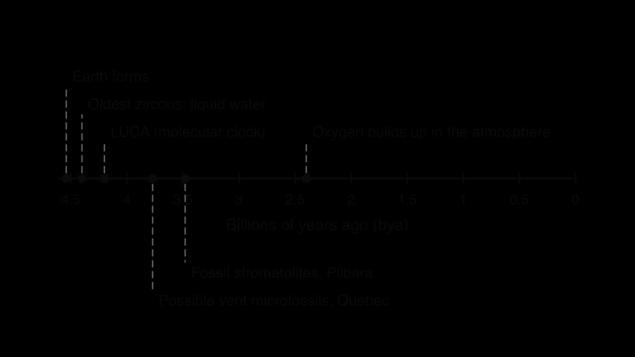 Timeline from 4.5 billion years ago to today: Earth forms 4.54 bya, oldest zircons (liquid water) 4.4 bya, LUCA (molecular clock) about 4.2 bya, possible vent microfossils in Quebec 3.77 bya, fossil stromatolites in the Pilbara 3.48 bya, oxygen builds up 2.4 bya.