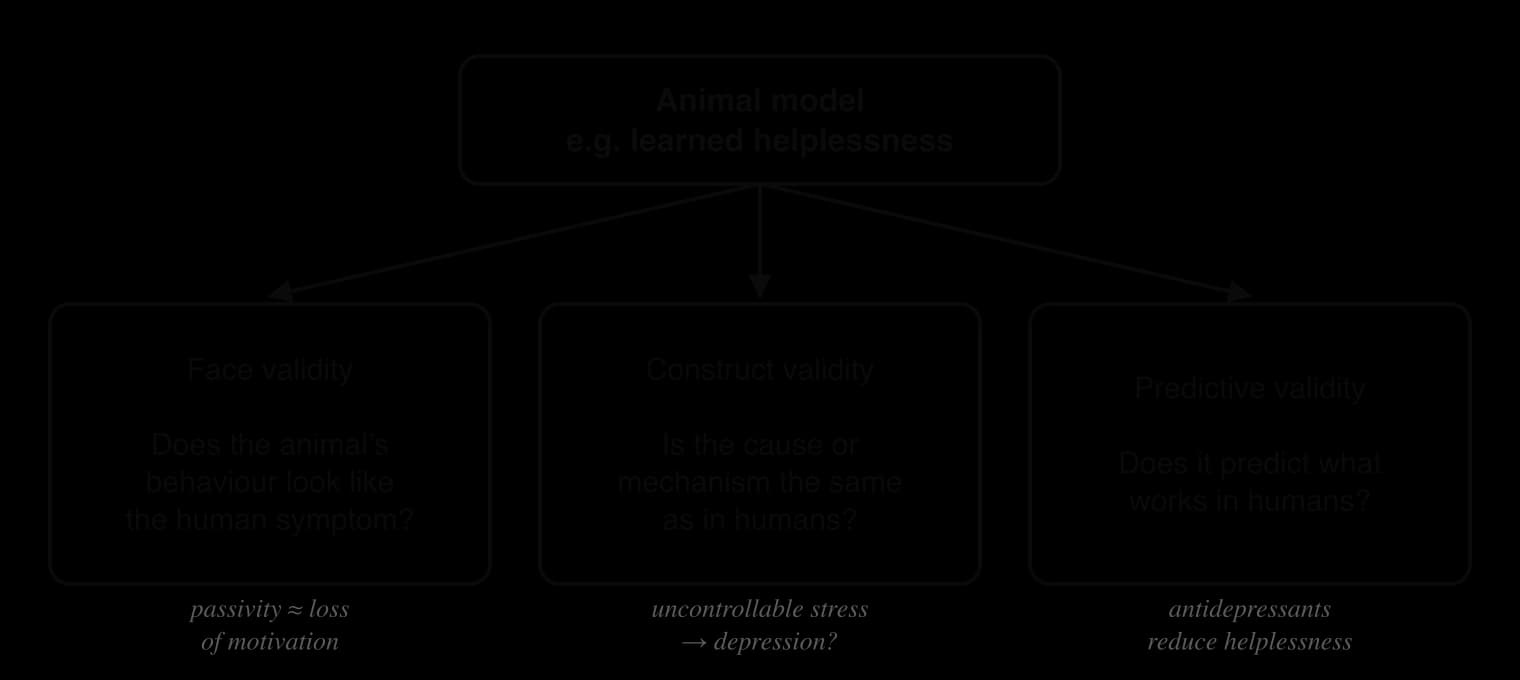 Diagram: an animal model such as learned helplessness is judged by face validity (does the behaviour look like the human symptom), construct validity (is the cause the same) and predictive validity (does it predict what works in humans).