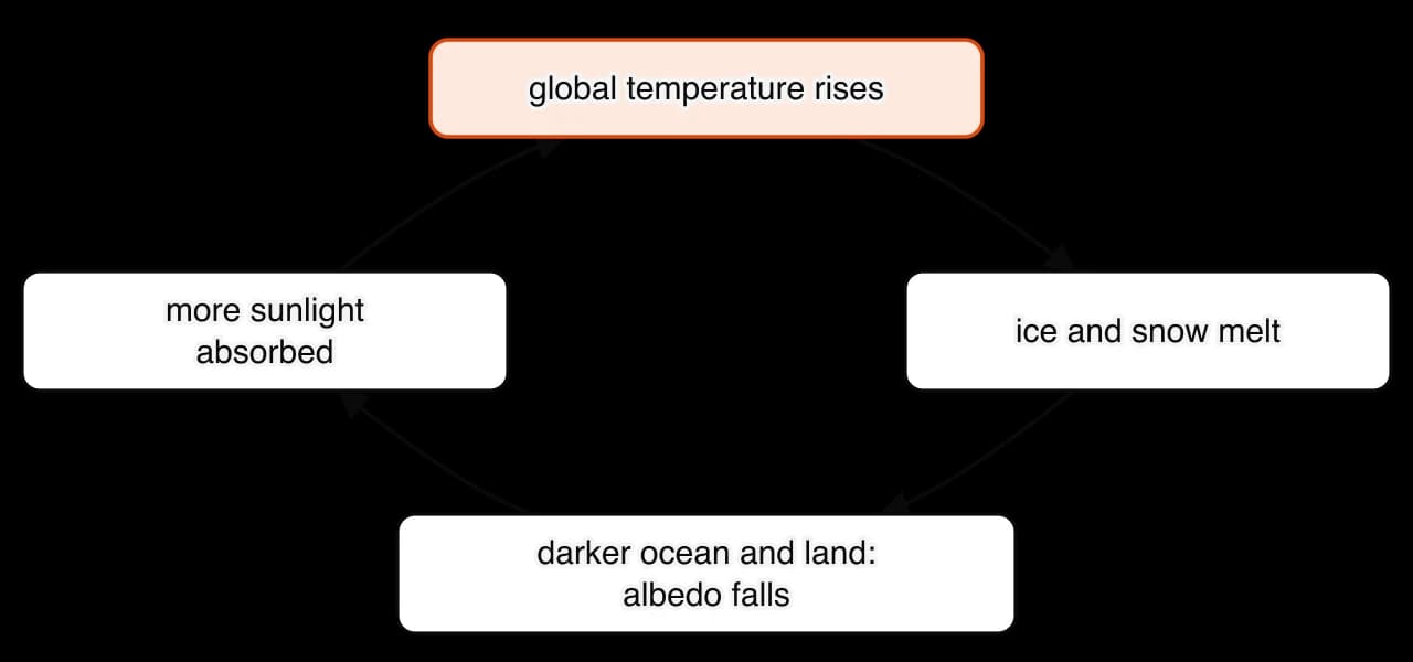 A loop of four boxes joined by arrows: global temperature rises; ice and snow melt; darker ocean and land, albedo falls; more sunlight absorbed; back to global temperature rises.
