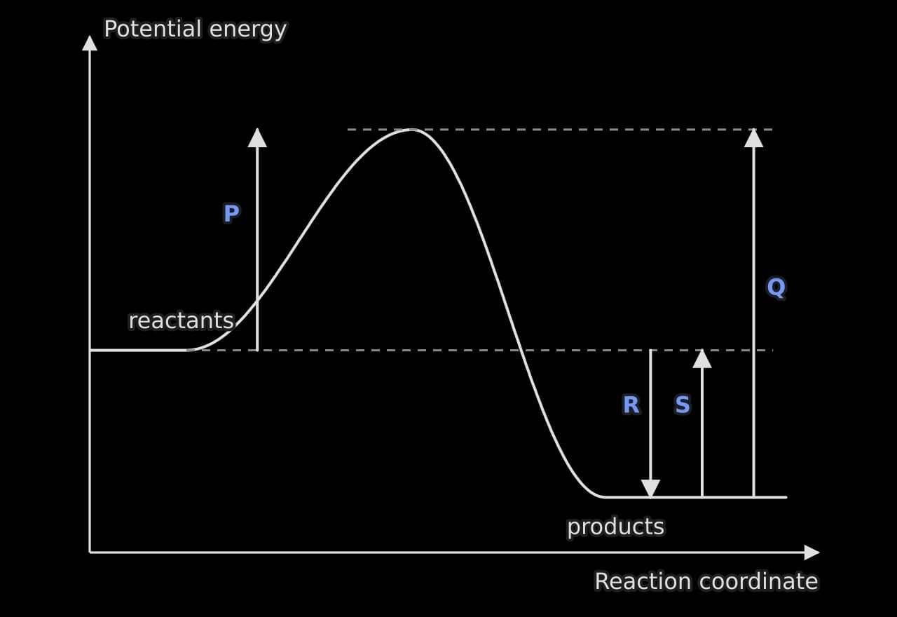 Energy profile of an exothermic reaction: potential energy against reaction coordinate. Arrow P rises from the reactant level to the peak, Q rises from the product level to the peak, R points down from the reactant level to the product level and S points up from the product level to the reactant…