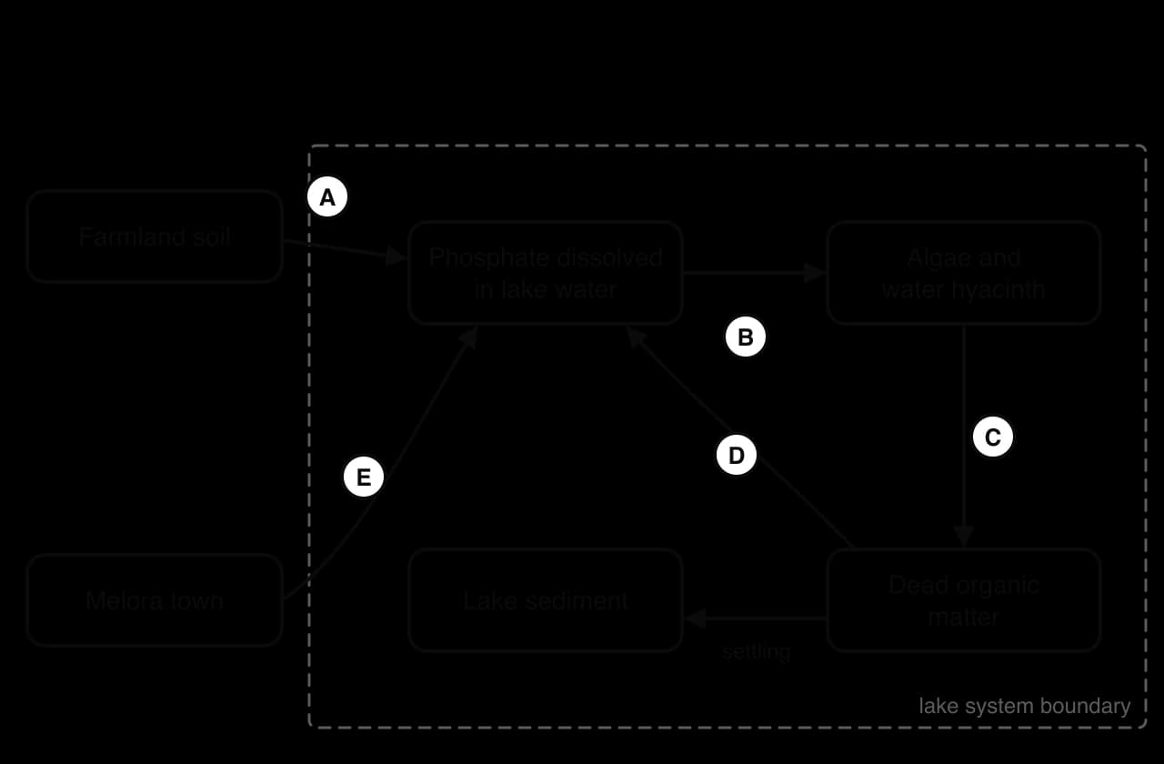 Incomplete systems diagram of phosphorus in Lake Melora. Farmland soil and Melora town outside the lake boundary; inside, dissolved phosphate, algae and water hyacinth, dead organic matter and lake sediment, linked by flows labelled A to E without names.