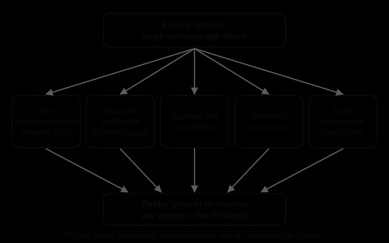 Diagram: falling fertility and a large working-age share lead to faster growth in income per person only through jobs, education and health, savings and investment, women in paid work, and stable governance with open trade.