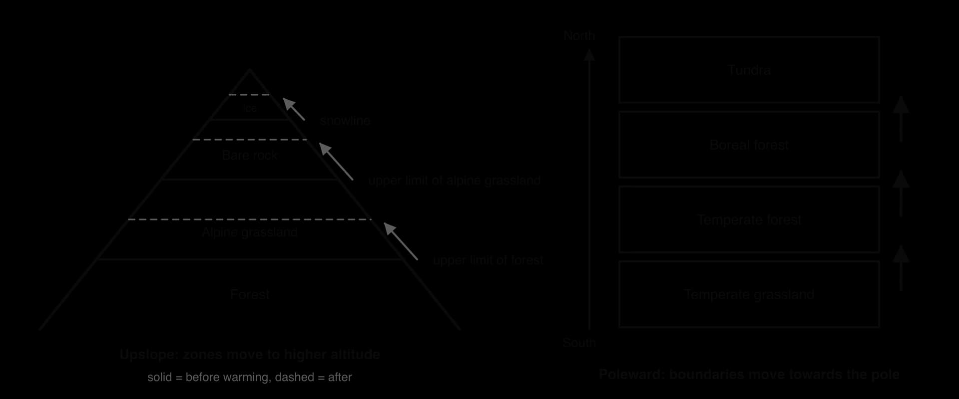 Model of biome shifts. Left: a mountain whose forest limit, alpine grassland limit and snowline each move upslope after warming. Right: latitude bands of temperate grassland, temperate forest, boreal forest and tundra, with boundaries moving north.