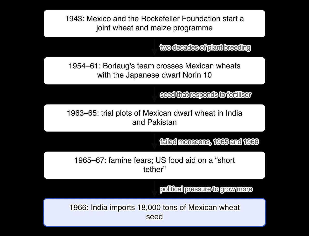 Chain: 1943 Mexico and the Rockefeller Foundation start a wheat and maize programme; 1954–61 Borlaug’s team crosses Mexican wheats with Norin 10 dwarf wheat; 1963–65 trials in India and Pakistan; 1965–67 drought, famine fears and US food aid on a short tether; 1966 India imports 18,000 tons of…