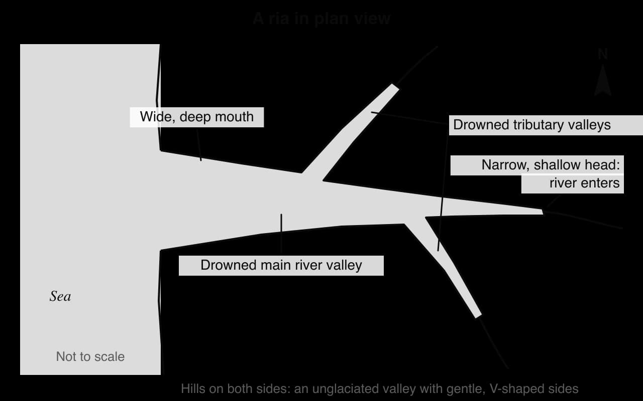 Plan sketch of a ria: a branching inlet of the sea, widest and deepest at its mouth on the coast, narrowing inland along a drowned main river valley with two drowned tributary valleys, each ending where a river enters at the head. North arrow; not to scale.