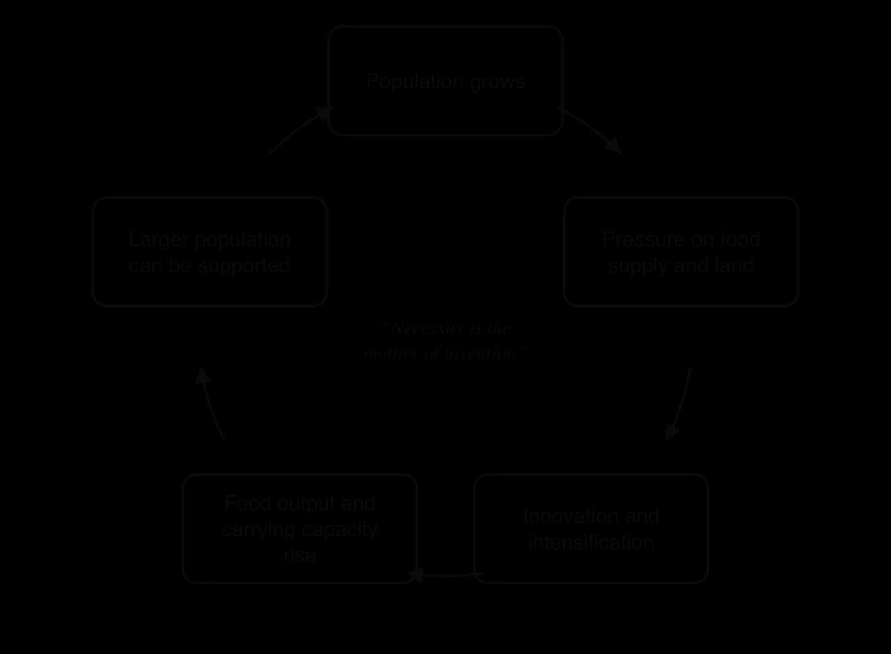 Cycle diagram of Boserup’s theory: population grows, pressure on food supply and land, innovation and intensification, food output and carrying capacity rise, a larger population can be supported, with the caption necessity is the mother of invention.