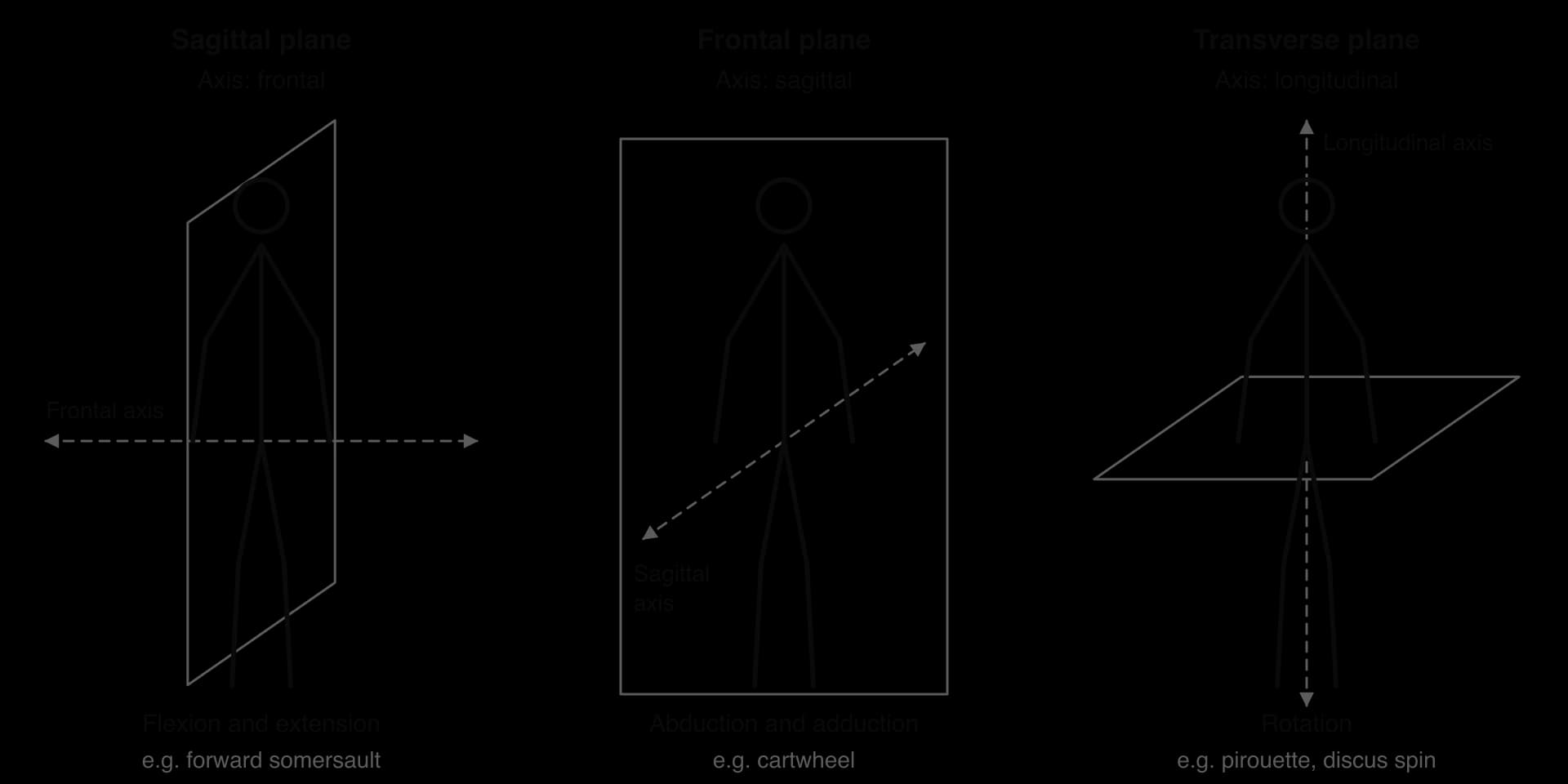 Sagittal plane (left–right division) with the frontal axis running side to side: flexion, extension. Frontal plane (front–back division) with the sagittal axis running front to back: abduction, adduction. Transverse plane (top–bottom division) with the longitudinal axis: rotation.