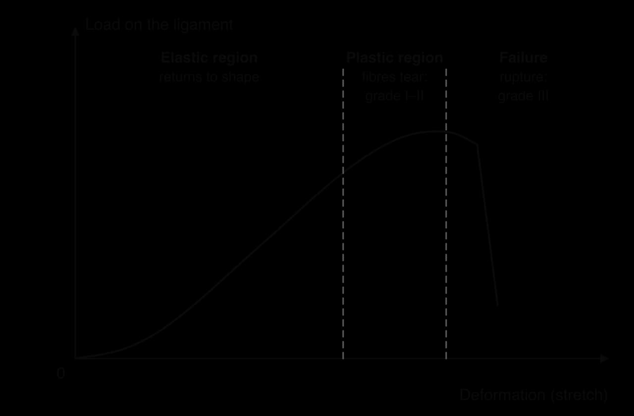 Sketch of load against deformation for a ligament: an elastic region where it returns to shape, a plastic region where fibres tear (grade I–II sprain), and failure where the curve drops sharply (rupture, grade III).