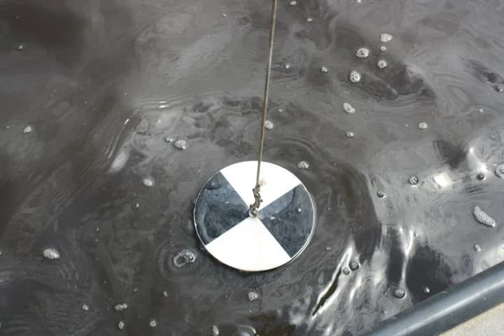 A Secchi disc, a round plate with alternating black and white quarters, being lowered on a line into dark water to measure water clarity.