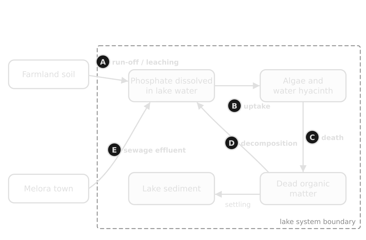 Completed systems diagram: A run-off and leaching from farmland soil to dissolved phosphate; E sewage effluent from Melora town; B uptake by algae and hyacinth; C death to dead organic matter; D decomposition back to dissolved phosphate; settling to sediment.