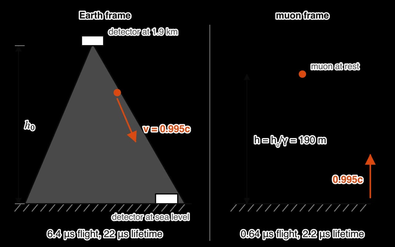 Left, Earth frame: a mountain 1.9 km high with detectors at the top and at sea level; a muon moves down at 0.995c and takes 6.4 microseconds. Right, muon frame: the muon is at rest and the ground moves up at 0.995c; the distance is contracted to 190 m and takes 0.64 microseconds.