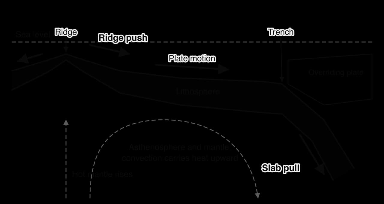 Cross-section from a mid-ocean ridge to a trench: ridge push acts away from the elevated ridge, slab pull acts down the sinking slab at the trench, and a convection cell in the mantle beneath carries heat upward.
