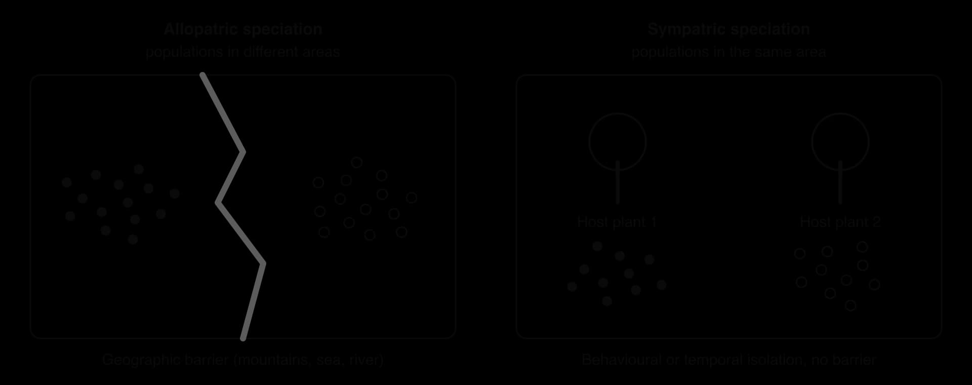 Left: allopatric speciation, with filled and open populations on either side of a geographic barrier such as mountains, sea or a river. Right: sympatric speciation, with filled and open populations in the same area, each associated with a different host plant, isolated by behaviour or timing.