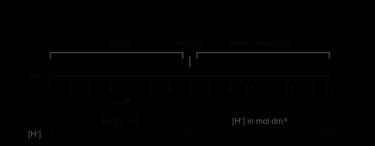 The pH scale drawn as a number line from 0 to 14. Values below 7 are labelled acidic, 7 is neutral and values above 7 are basic (alkaline). An arrow from pH 3 to pH 4 is labelled [H⁺] ÷ 10. Hydrogen ion concentrations shown: 1 at pH 0, 10⁻⁷ at pH 7 and 10⁻¹⁴ at pH 14 mol dm⁻³.
