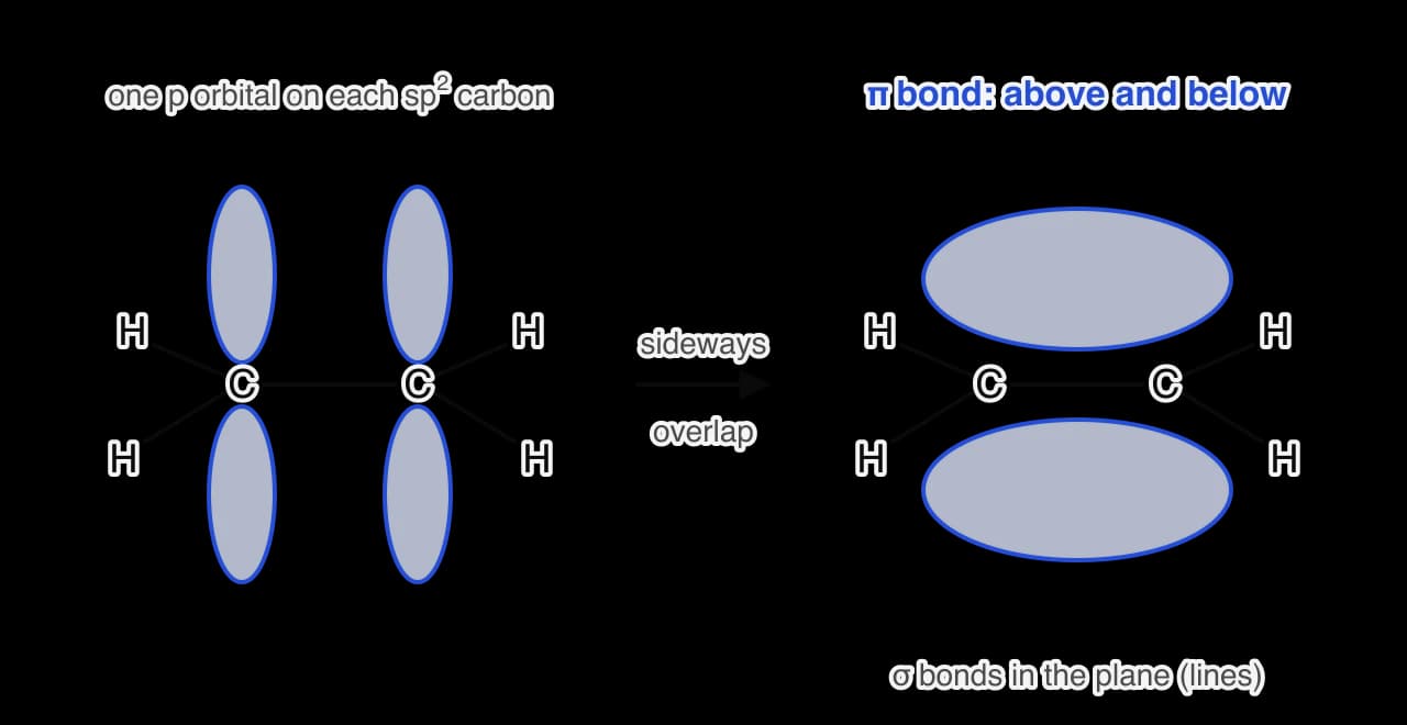 Ethene. Left: two carbon atoms joined by a sigma bond, each with two H atoms and one vertical p orbital. Right: the p orbitals have overlapped sideways to form a pi bond, shown as two lobes of electron density above and below the plane of the molecule.