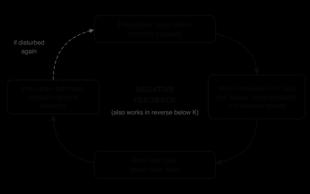 Negative feedback loop: population rises above carrying capacity, so competition, predation and disease increase, so birth rate falls and death rate rises, so the population falls back towards carrying capacity.